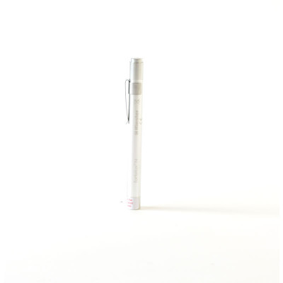 ri-pen® Penlight Silver